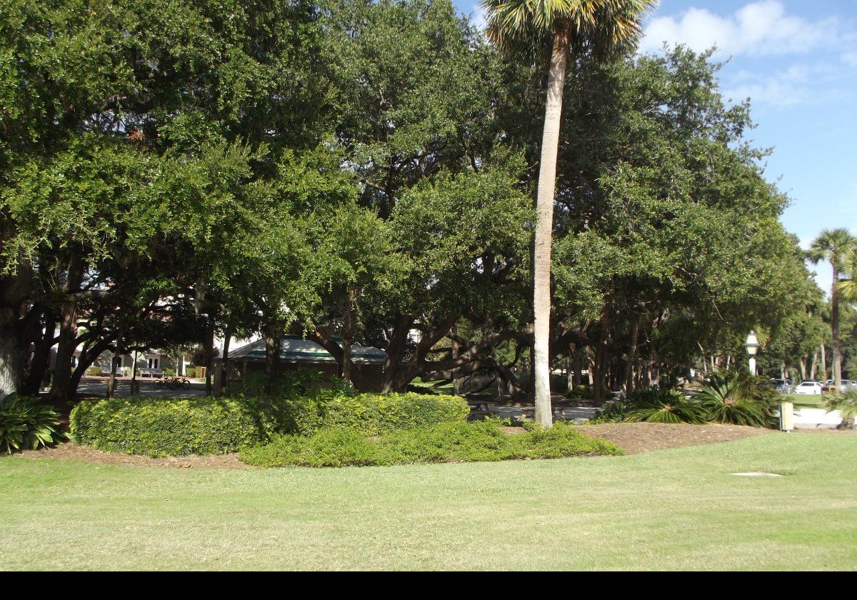 Typical landscape of Hilton Head, with the Hilton Head Diner glimpsed through the trees.