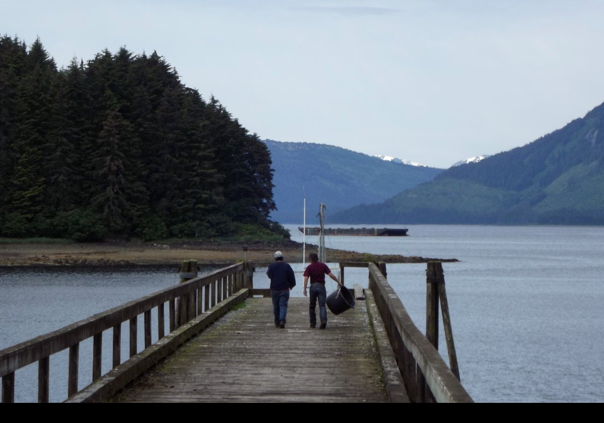 Looking along this pier towards Pitt Island to the left.