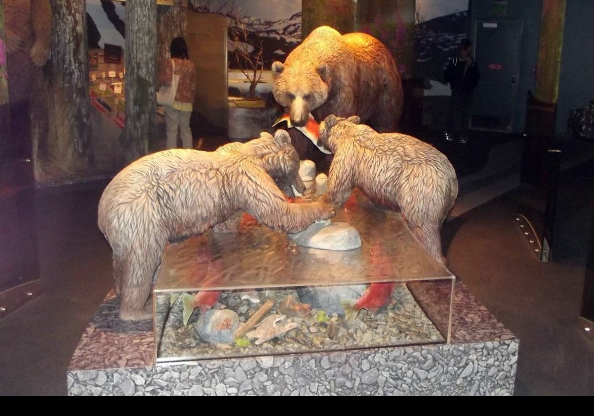 A series of pictures of some of the dioramas on display at the Kodiak National Wildlife Center. Starting with some bears.