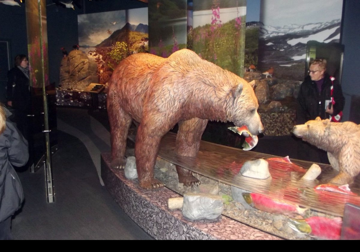 A series of pictures of some of the dioramas on display at the Kodiak National Wildlife Center. Starting with some bears.