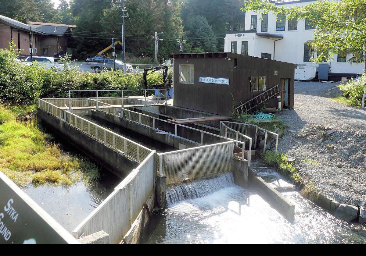 Part of the Sitka Sound Science Center‘s salmon hatchery.