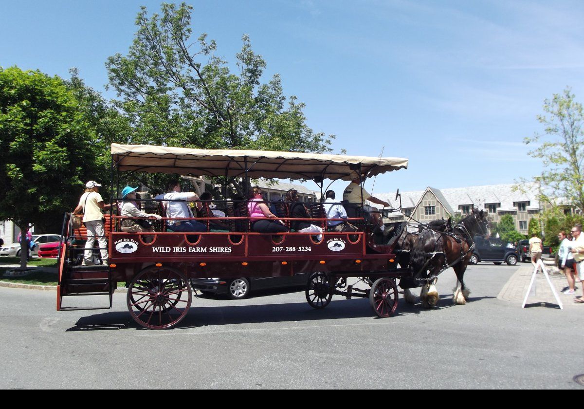 Take a horse drawn carriage ride through Bar Harbor. Not quite sure how the horses feel about it!