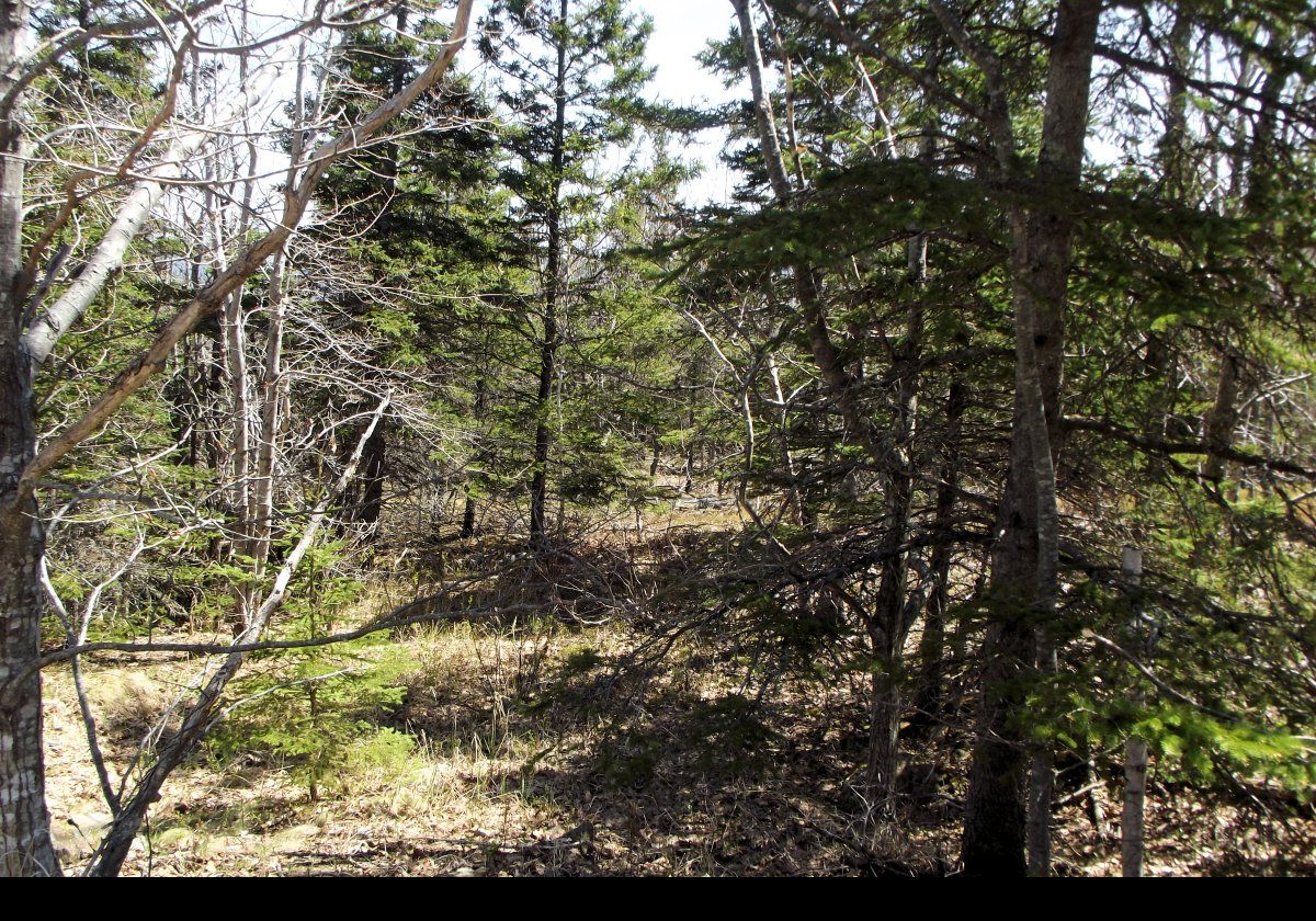 This, and the next few slides, show the walk down from the Schooner Head Overlook to Anemone cave.