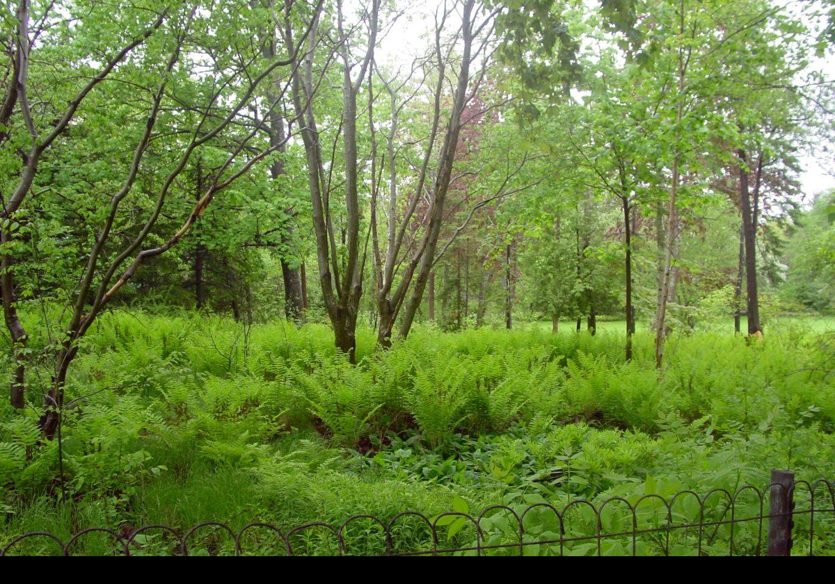 Once you get off the beaten track, Bar Harbor can be quite rural!