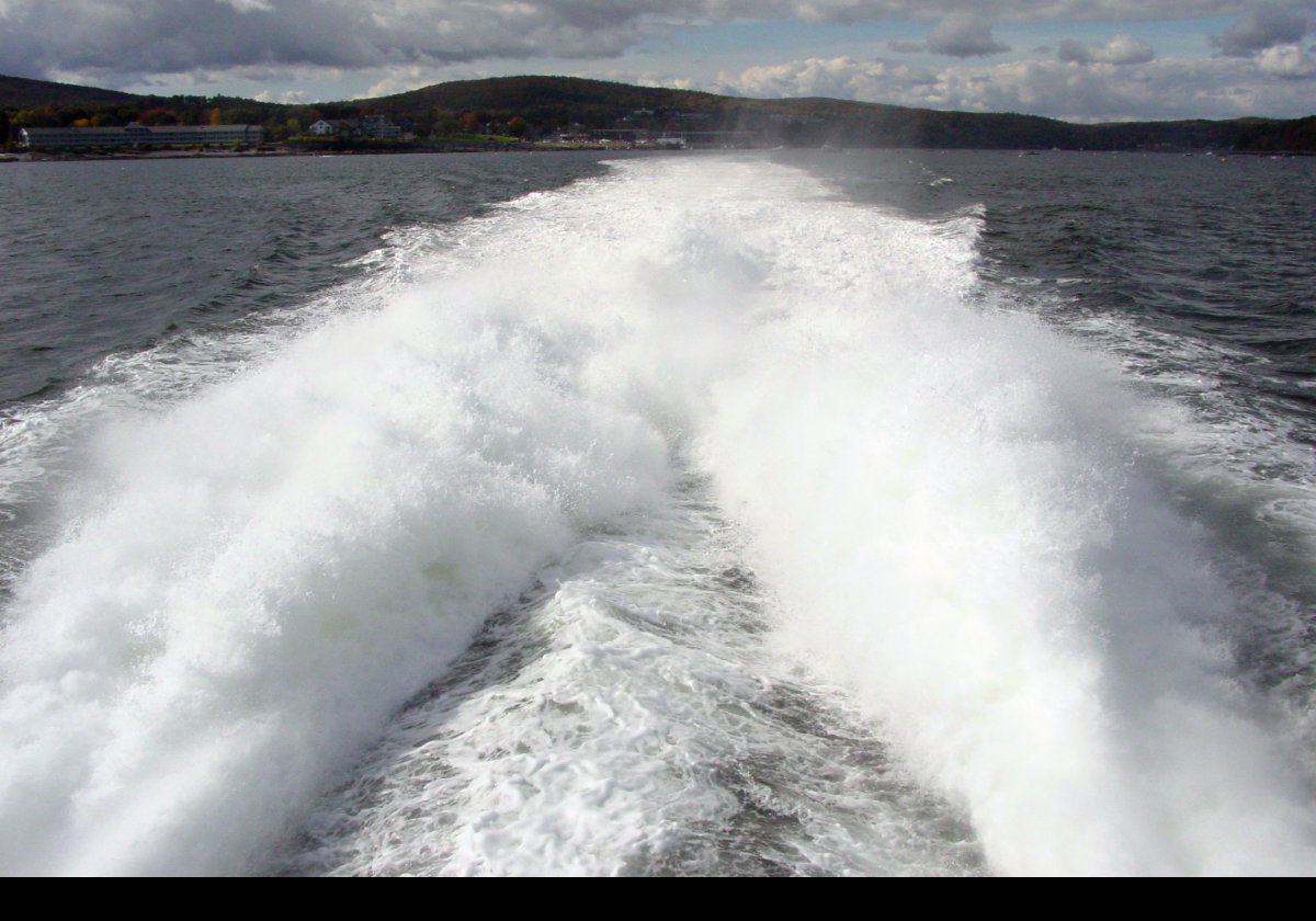 Out & back on one of our whale watches. While we did not see any whales on this occasion, it was a wonderful trip in sunny, though chilly, weather.