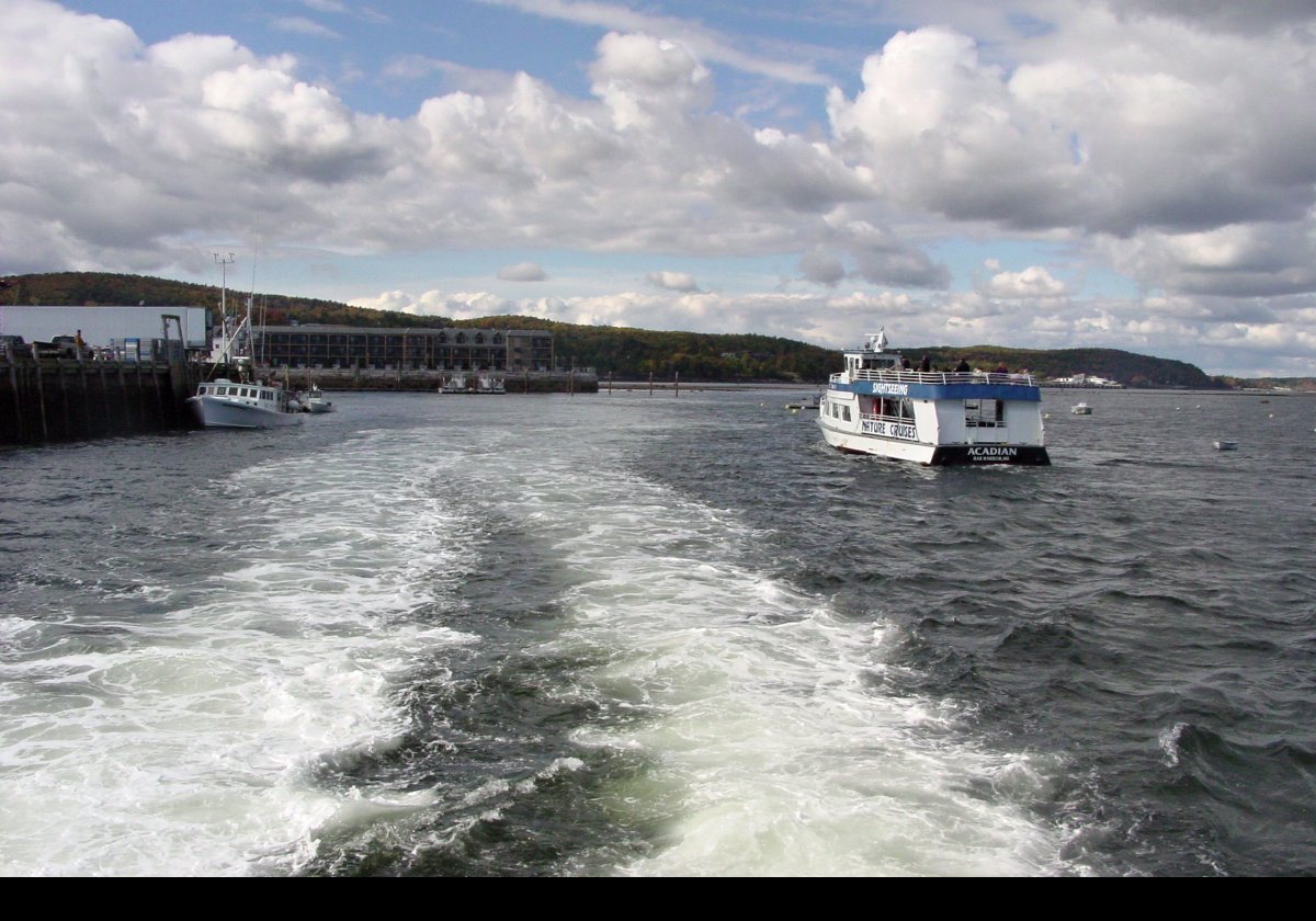 The boat went out much further into the Atlantic than we had on previous trips. The boat uses a water jet rather than propellers so it does not harm either marine life or the myriad traps of the lobster men that seem completely to fill the bay.