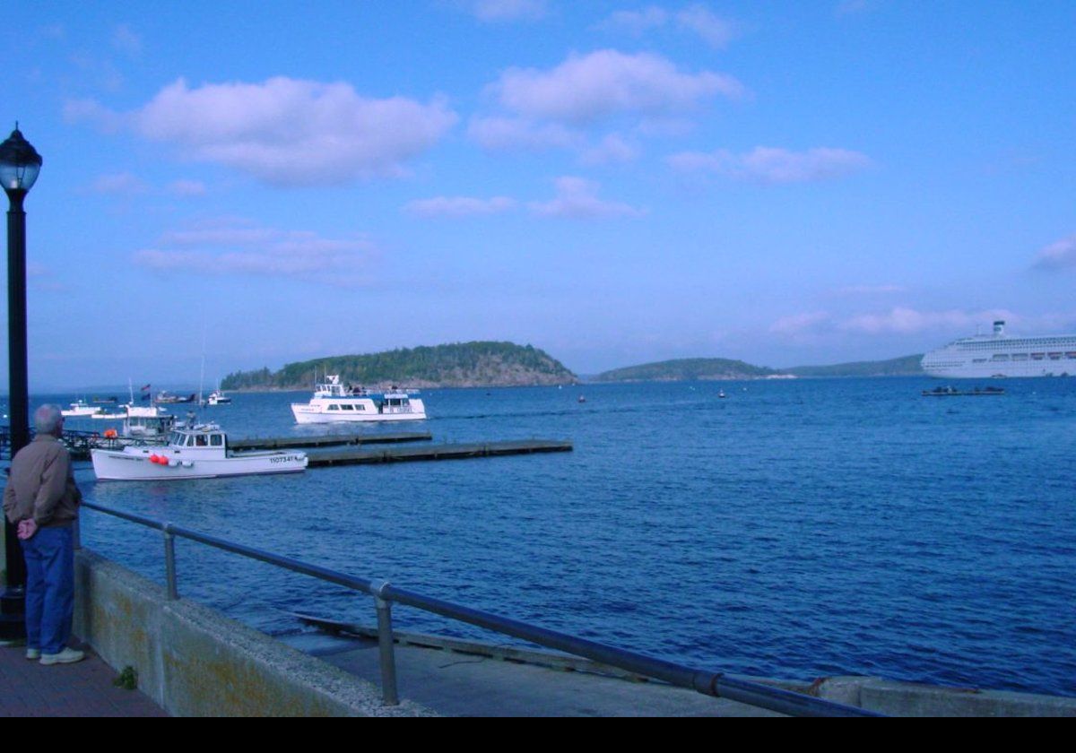 Frenchman Bay viewed from the shore path.