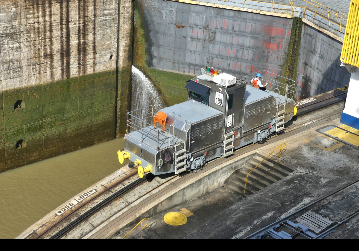 These trains, known as Mulas, or Mules, use powerful electric motors, and guide ships through the canal. Large ships use up to eight engines; four at the stem, and four at the stern.