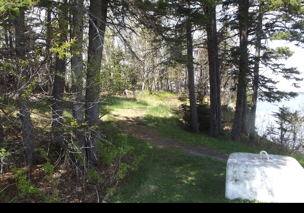 A short walk through the woods leads to the tip of Campobello Island.