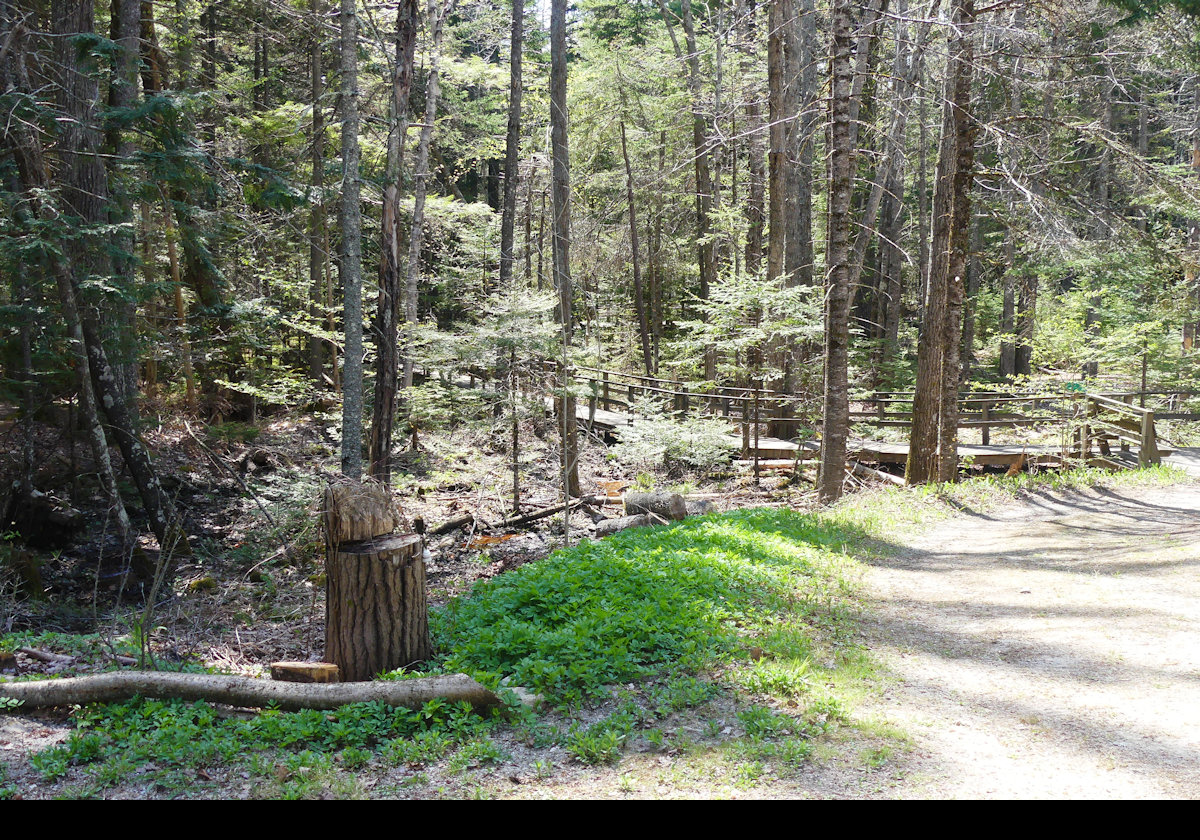 Walking through the preserve.