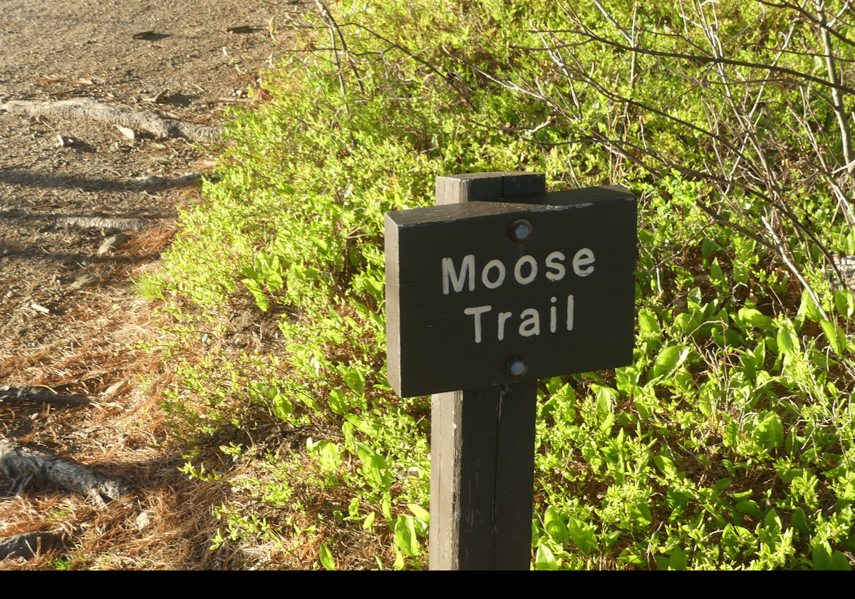 This is one of the trails in the Moose Point State Park.  It is quite short, less than a mile, and quite flat.