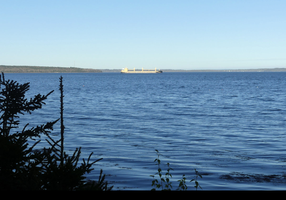 Looking out over Belfast Bay.