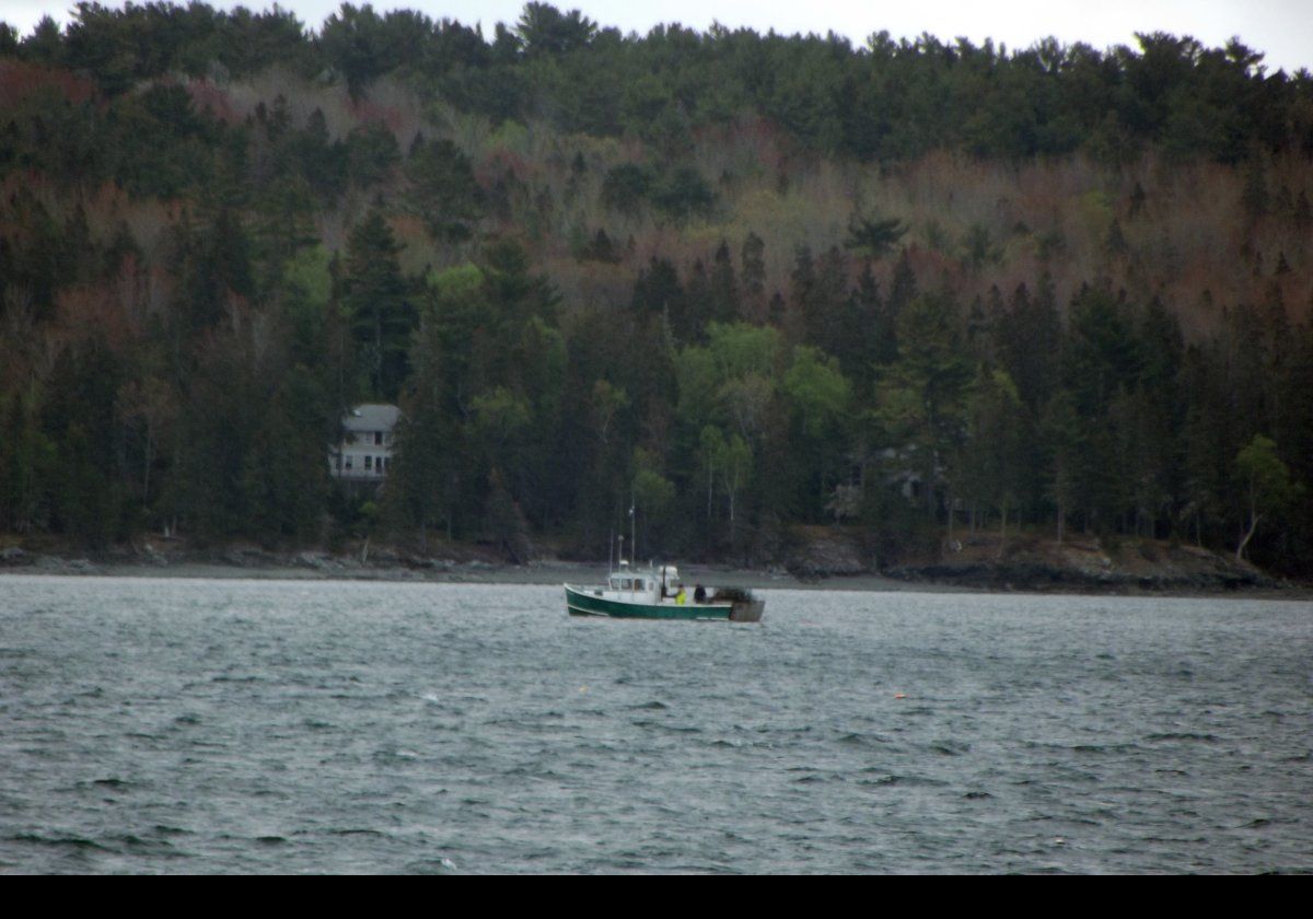 Looking across Mount Desert Narrows.