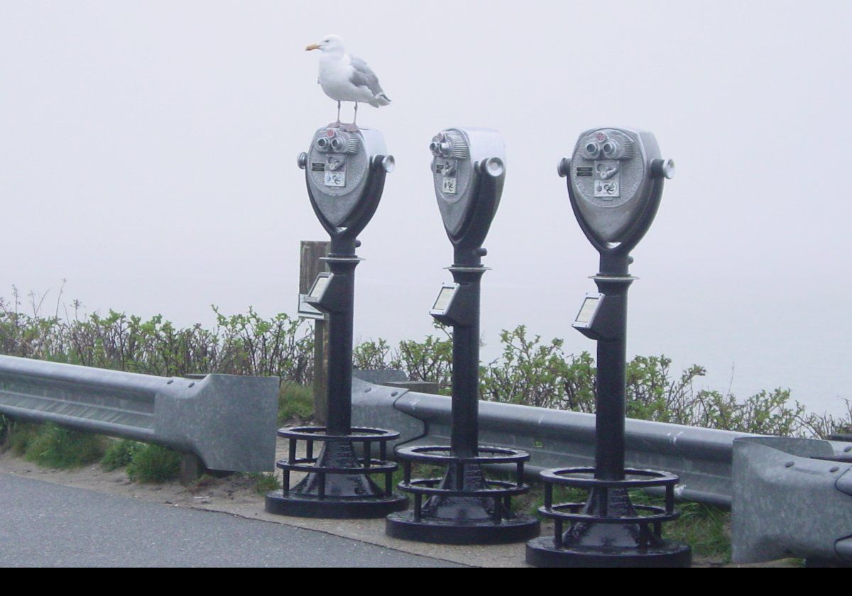Binoculars set up near the Chatham Lighthouse on Main Street.  Click the image for a closer view of the seagull.  