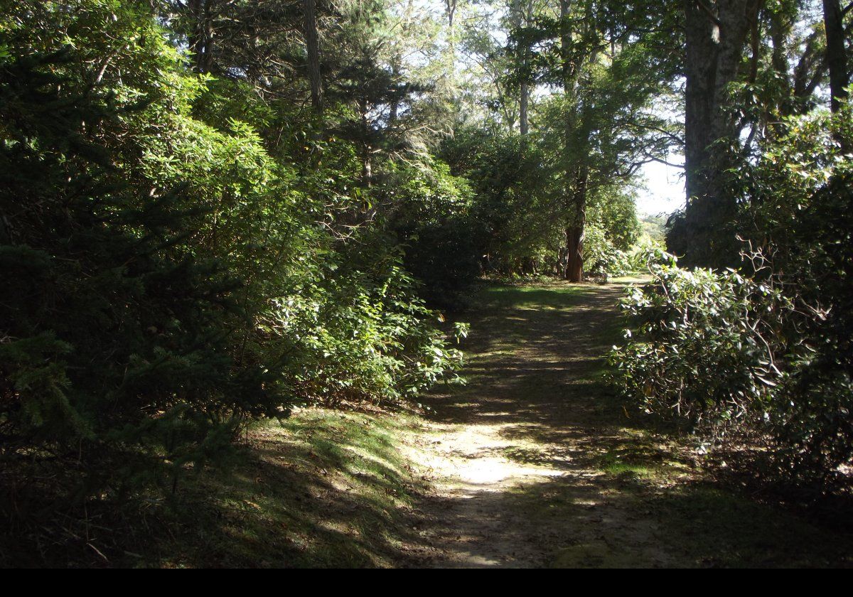 A shady pathway.