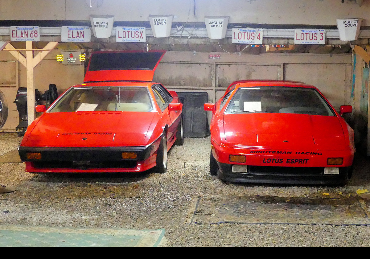 A pair of Lotus cars.  Lovely, yet fragile.