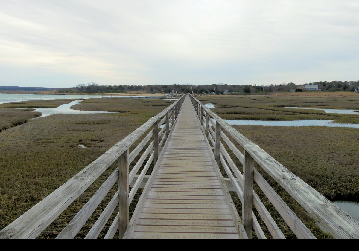 Looking back along the boardwalk.