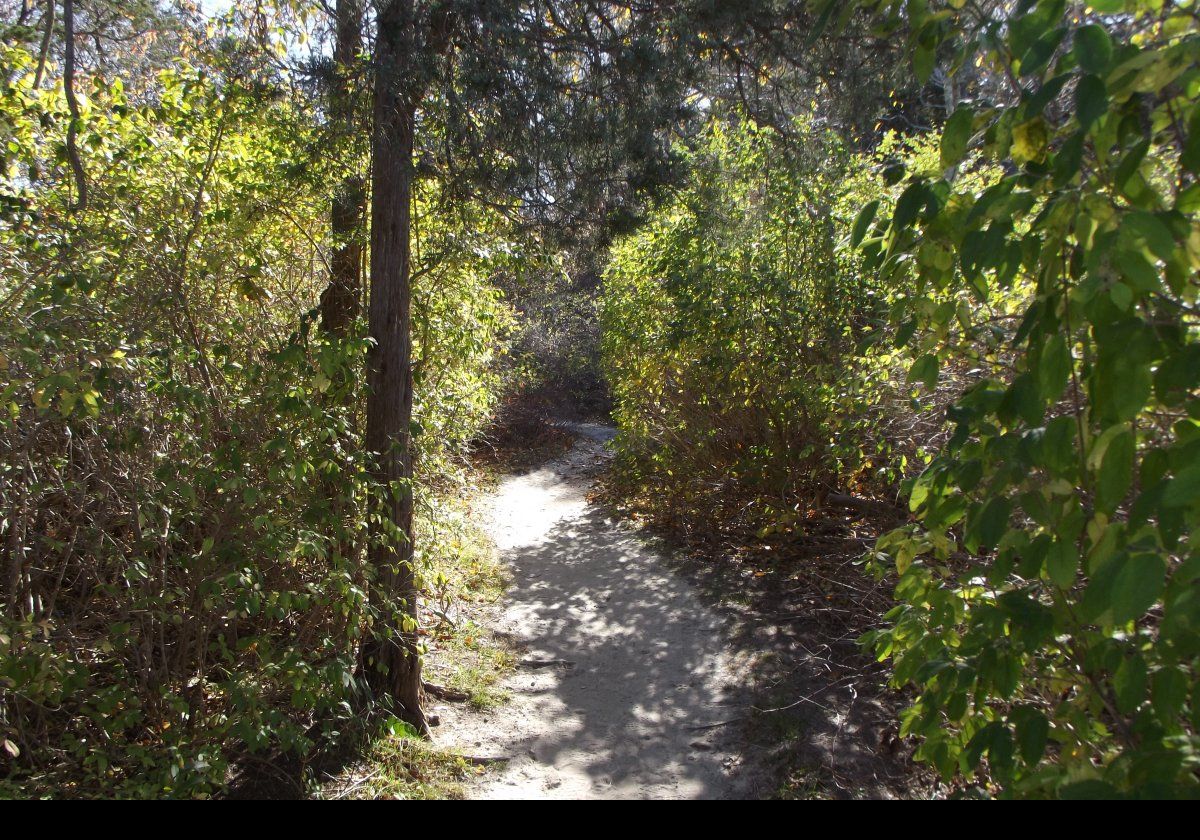 The path starts just off Quissett Harbor Road.  Then it heads through the woods.