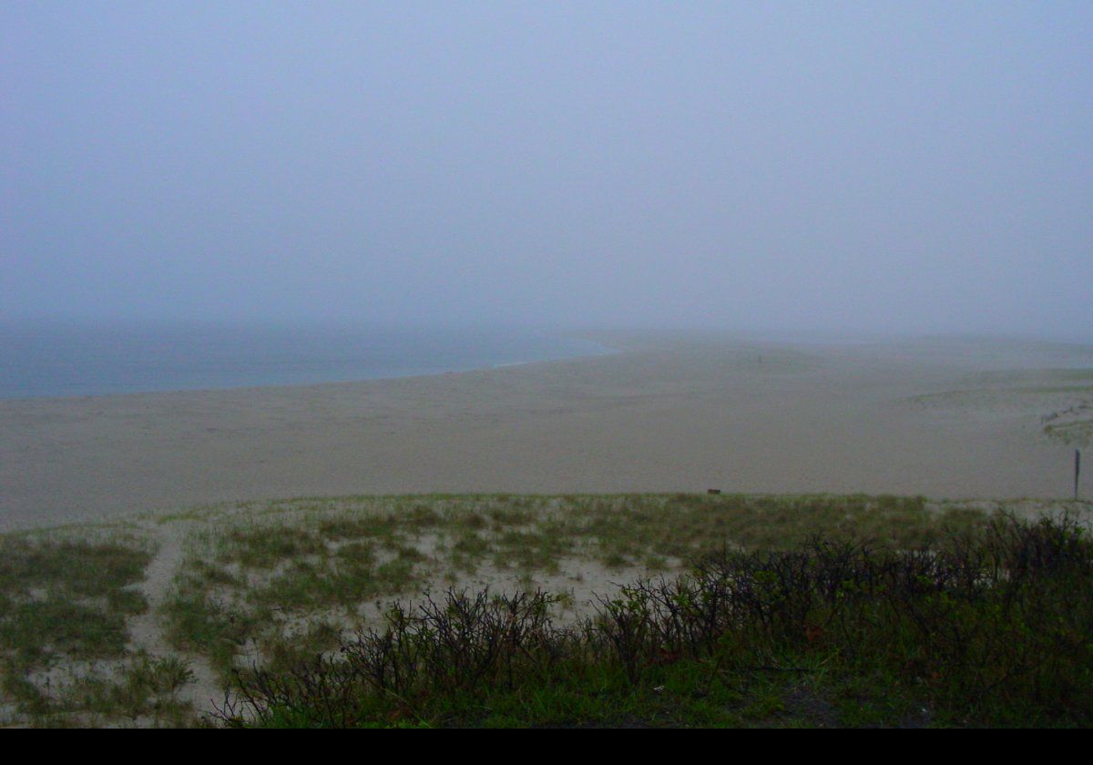 Provincetown, MA, is surrounded by beaches.  We often check them out looking for whales.
