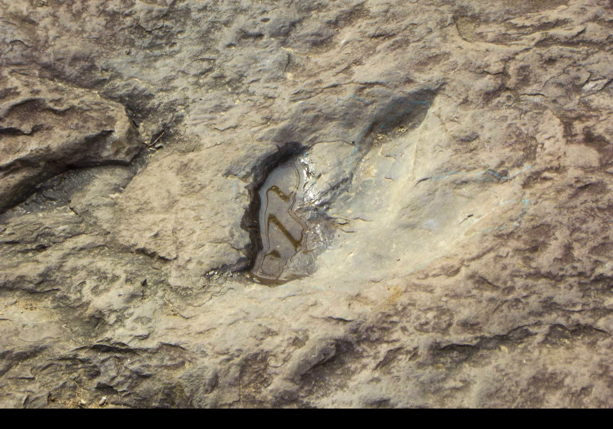 Dinosaurs walked here and made these footprints about 200 million years ago during the Early Jurassic period.