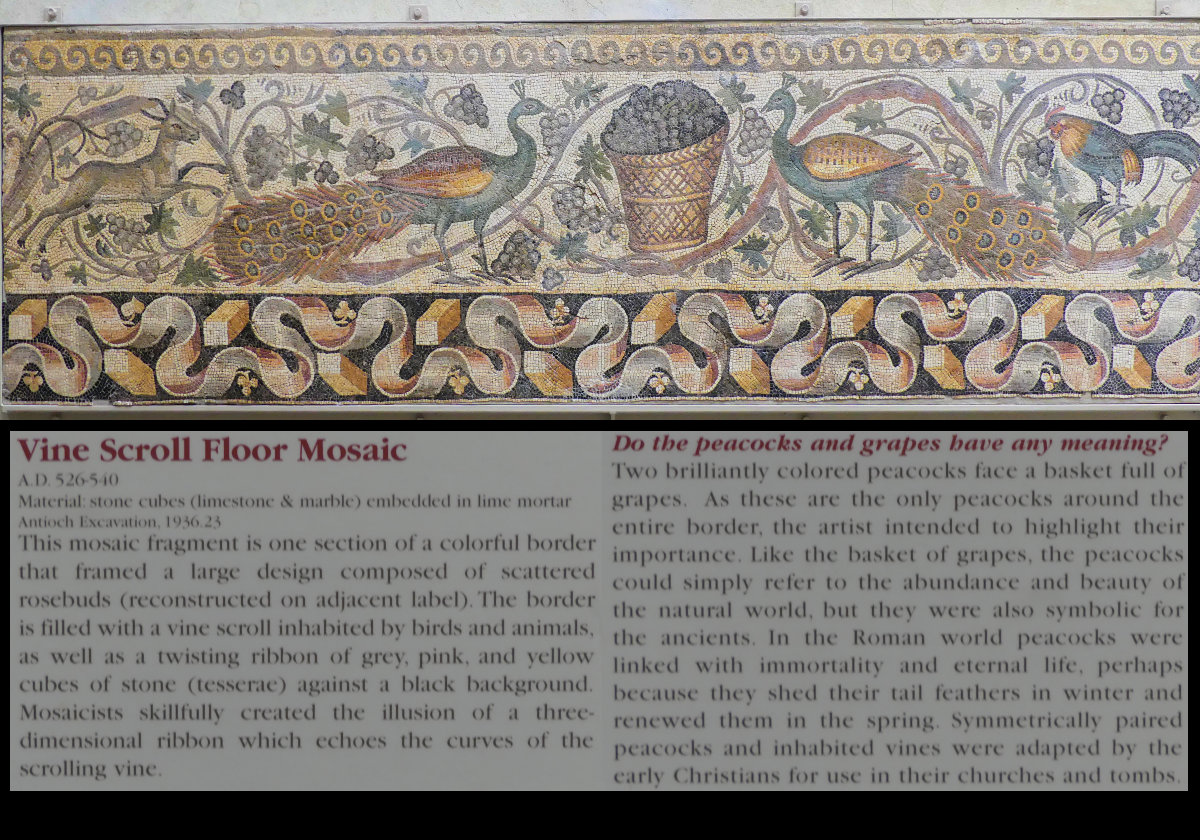 Vine Scroll Floor Mosaic.  Click the image for more information.