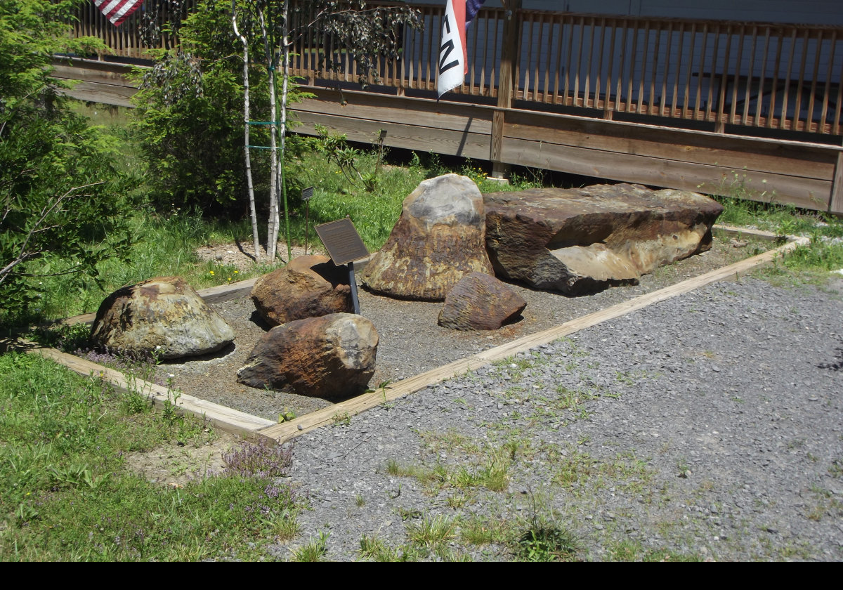 Now we are in front of the Museum proper. Another display of tree/fern fossils found in the Gilboa area.