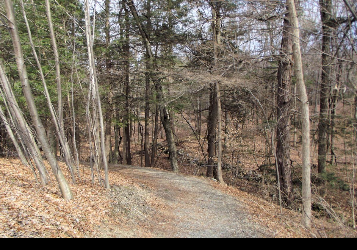 The trail then winds down towards the creek.