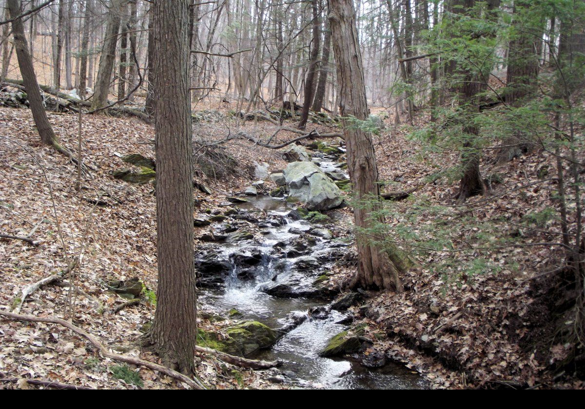 The creek looks quite small at this point.