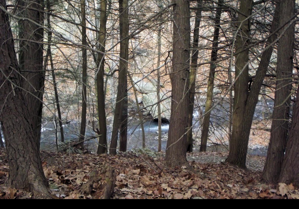 Another view of the creek to our left.