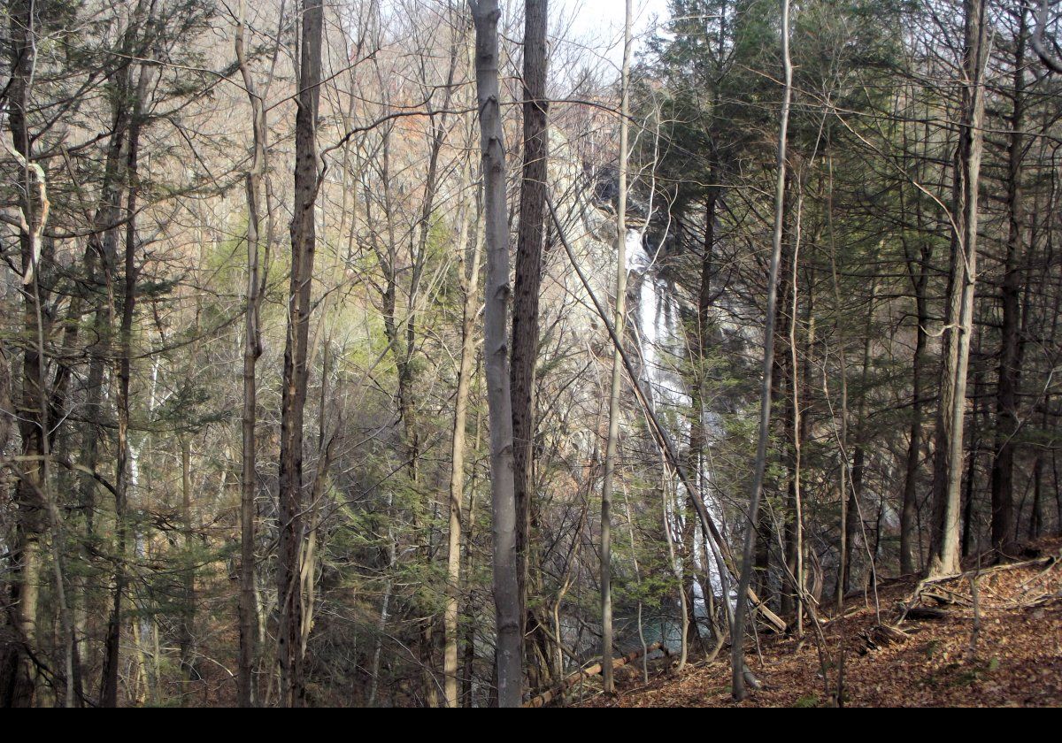 First view of the falls through the trees.