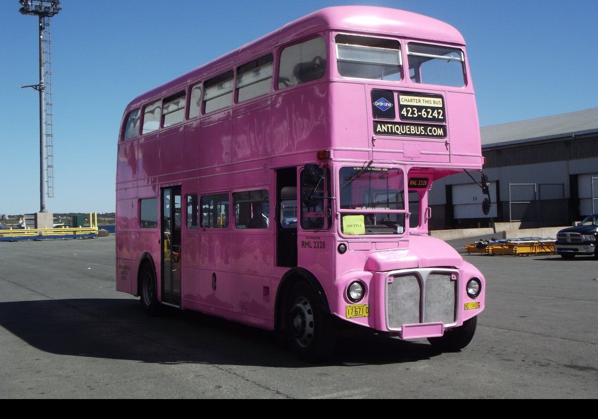 The Big Pink Bus, offering sightseeing tours of Halifax.