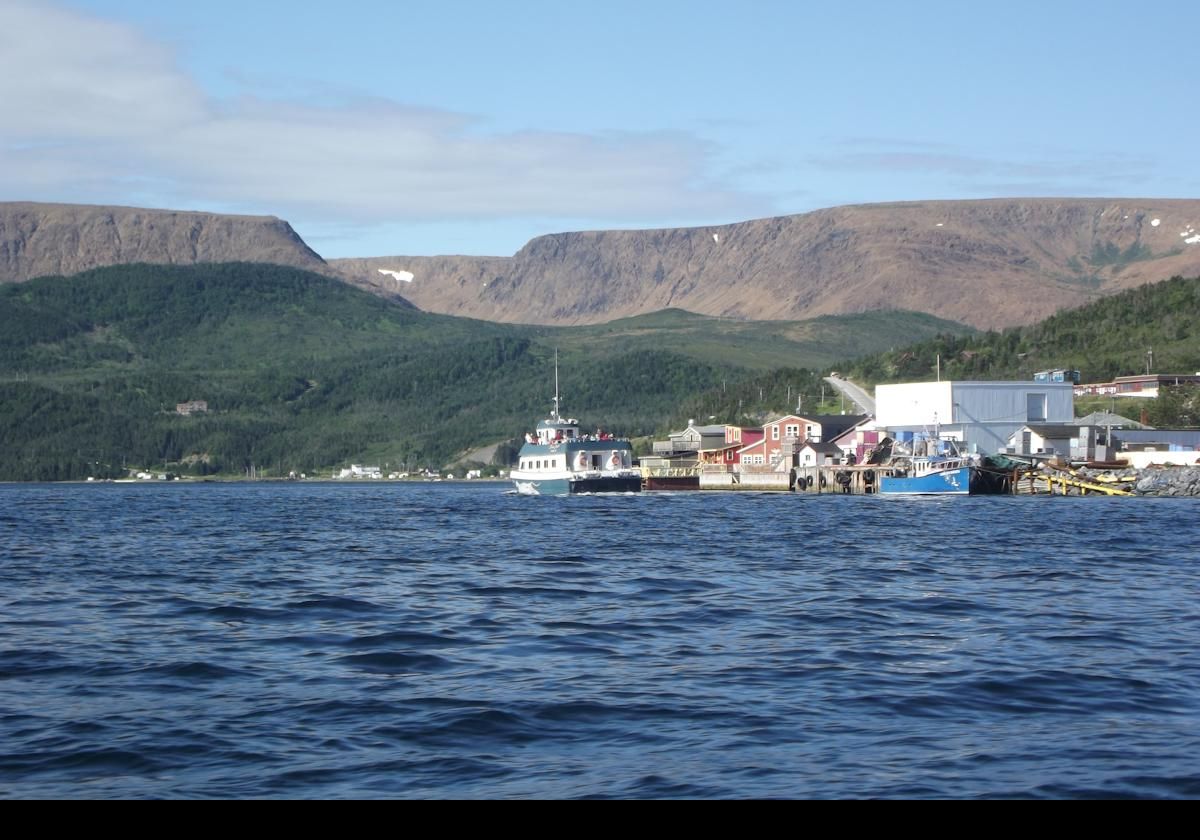 Coming into Woody Point on the tender.