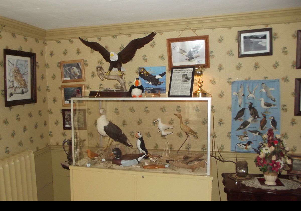 A collection of stuffed birds t the Jost House Museum.