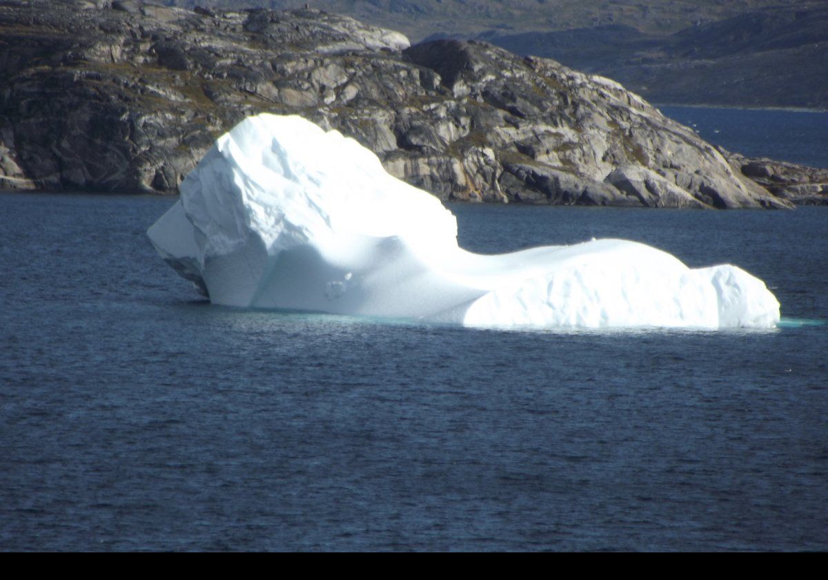 This iceberg reminds me of a lion.