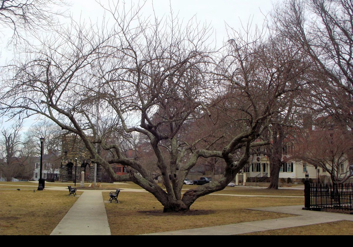 Visiting Touro Park which is a small park justoff Bellevue Avenue. Its main claim to fame is the strange stone structure which is surrounded in mystery!