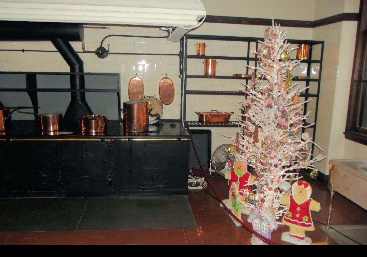 Part of the kitchen showing the cooking range and a (not so traditional) Christmas tree.