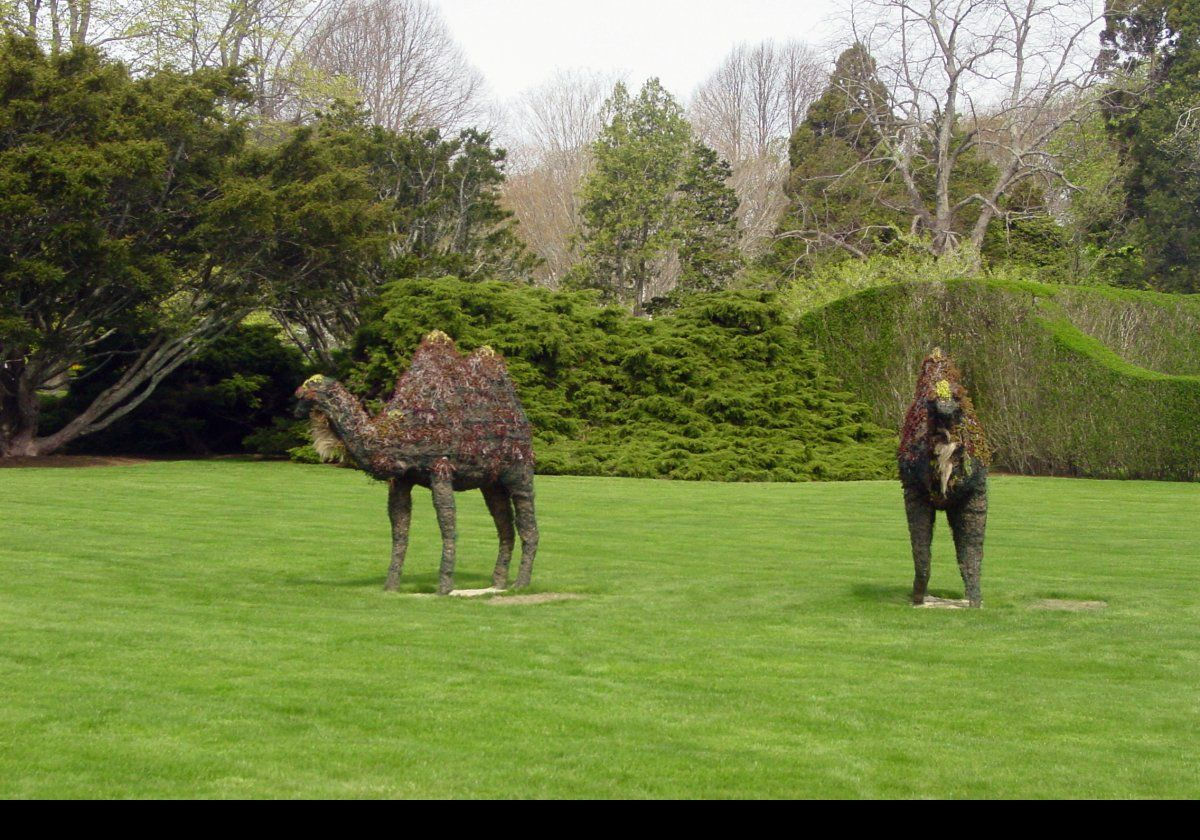 Princess and Baby were Doris Duke's pet Bactrian camels. They were gifts from Adnan Khashoggi, and they spent the summer at Rough Point whenever Doris did.