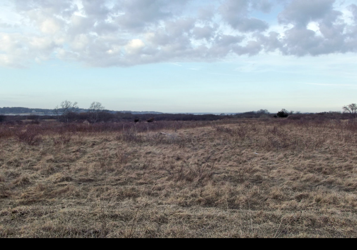 The various different habitats in the refuge support more than 200 different species of bird. There are several viewing platforms along the 4 km (2.5 miles) of nature trails.