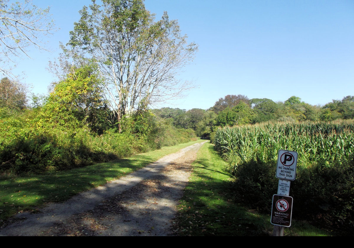 Weetamoo Woods & the ajoining Pardon Gray Preserve run along the opposite side of route 77 from the Emilie Ruecker Wildlife Refuge, south of Tiverton.