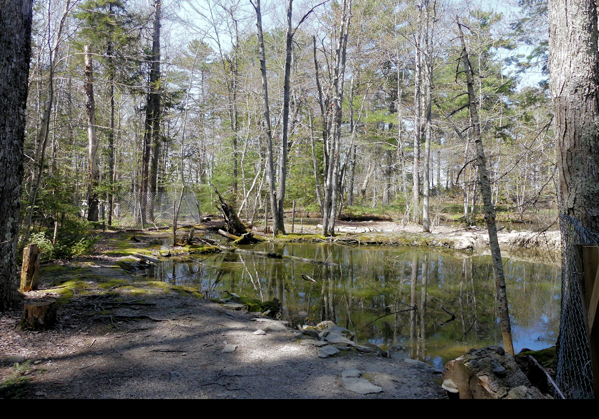 Walking through the preserve.